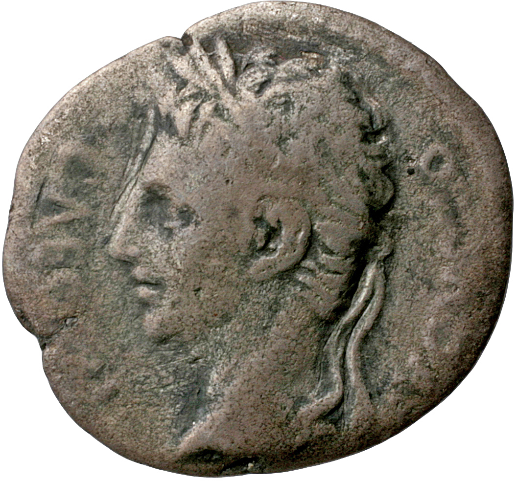 Augustus obverse — Head of Augustus, laureate, left