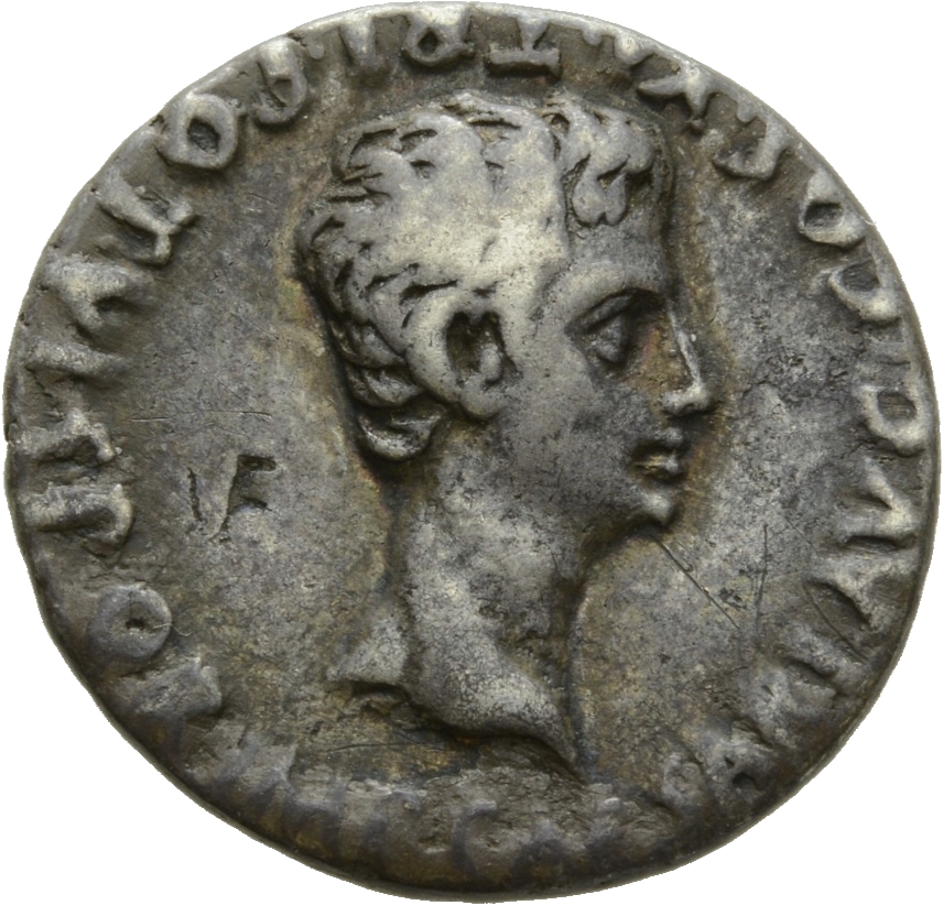 Augustus obverse — Head of Augustus, bare, right