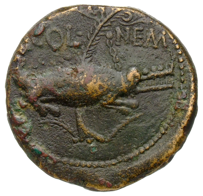 RIC I (second edition) Augustus 154 Augustus reverse, Crocodile chained to palm-shoot with long vertical fronds and tip le...