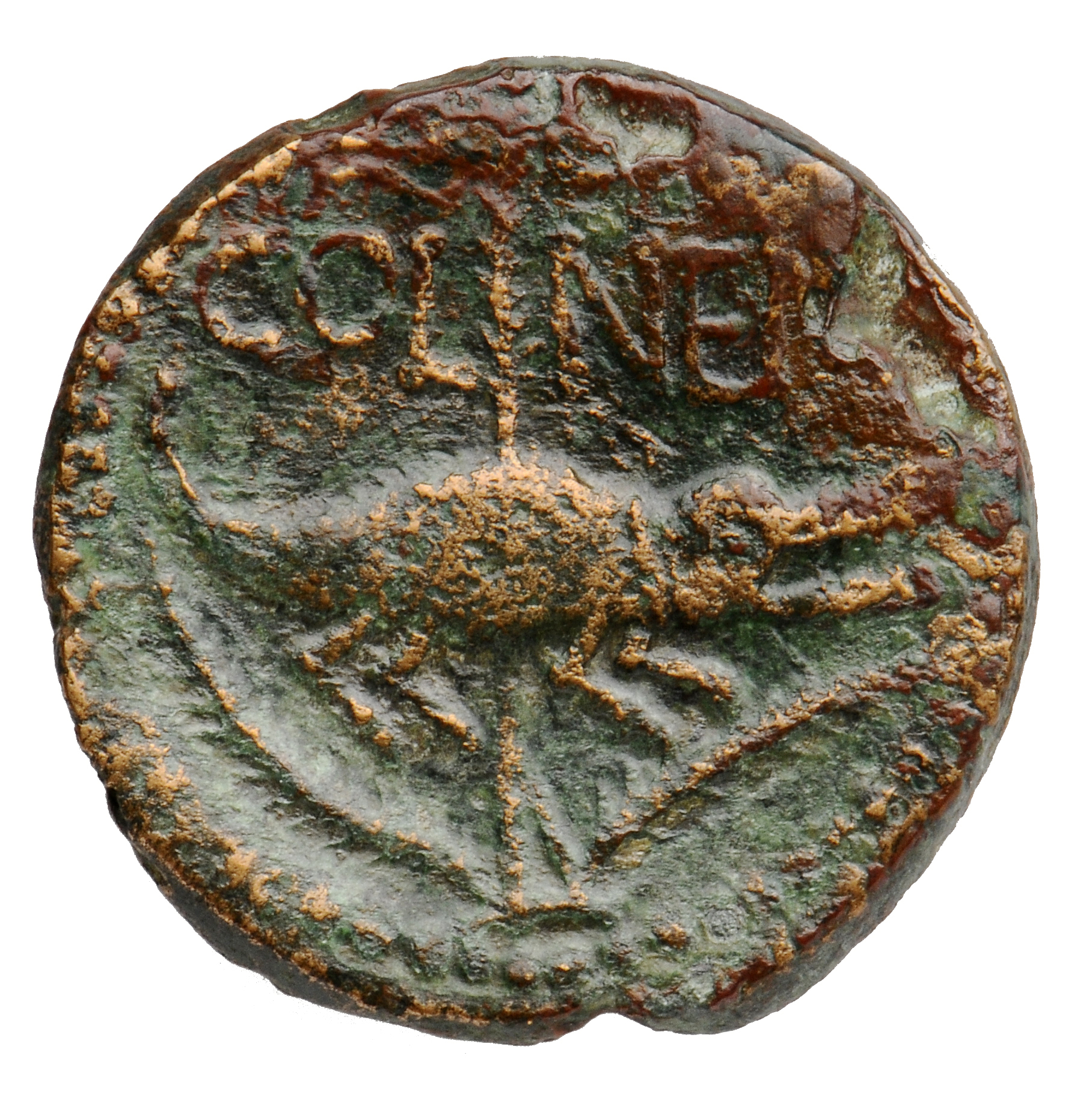 Augustus reverse — Crocodile chained to palm-shoot with long vertical fronds and tip left: above on left a wreath with long ties
