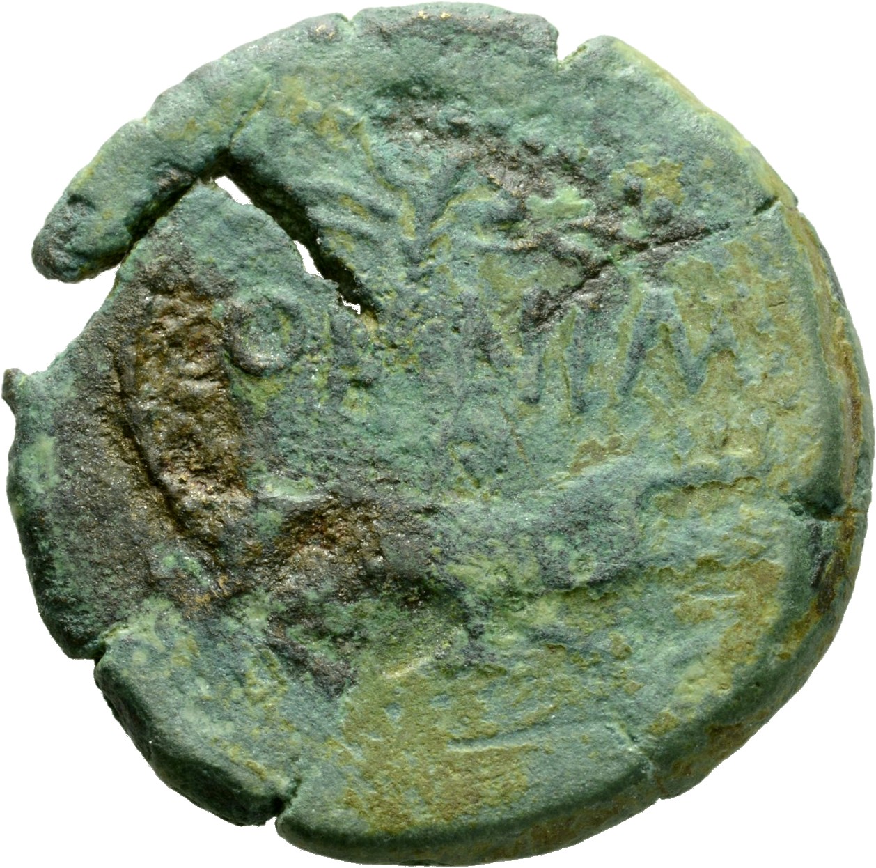 RIC I (second edition) Augustus 155 Augustus reverse, Crocodile chained to palm-shoot with tip right; above palm-tip left ...