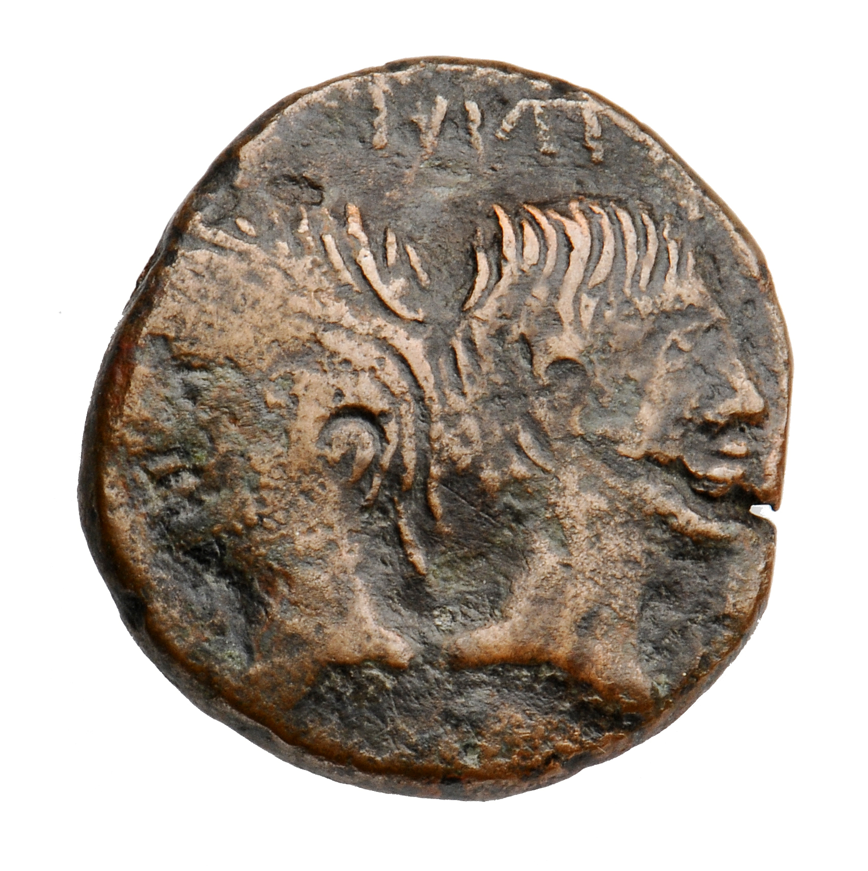 Augustus obverse — Heads of Agrippa (left) and Augustus (right) back to back, Agrippa wearing combined rostral crown and laurel wreath and Augustus is bare-headed