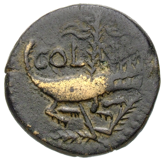 RIC I (second edition) Augustus 157 Augustus reverse, Crocodile chained to palm-shoot with tip right; above on left a wrea...