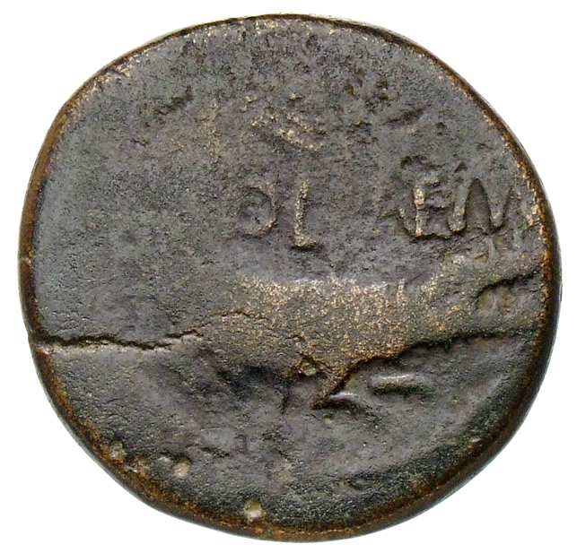 Augustus reverse — Crocodile chained to palm-shoot with tip right; above on left a wreath with long ties