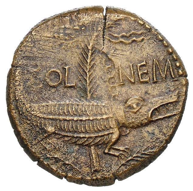 RIC I (second edition) Augustus 158 Augustus reverse, Crocodile chained to palm-shoot with tip right; above on left a wrea...