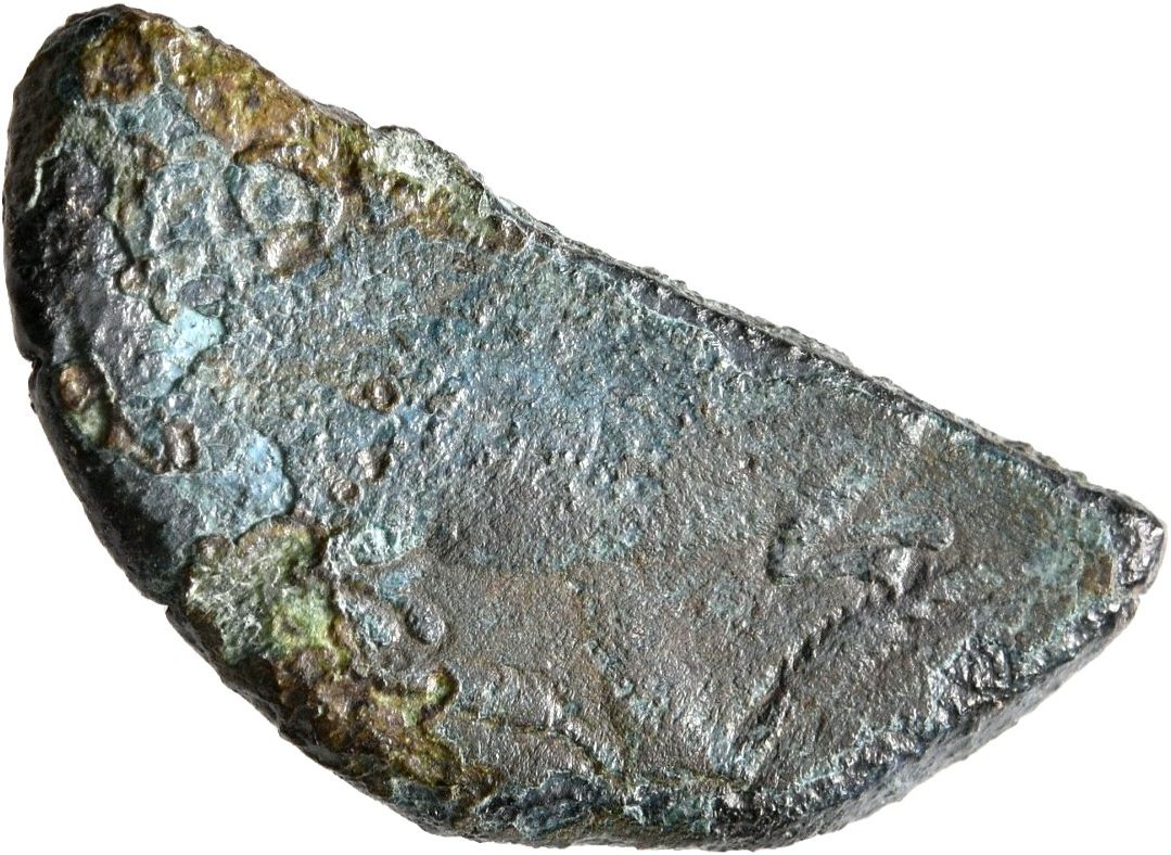 Augustus reverse — Crocodile chained to palm-shoot with tip right; above on left a wreath with long ties