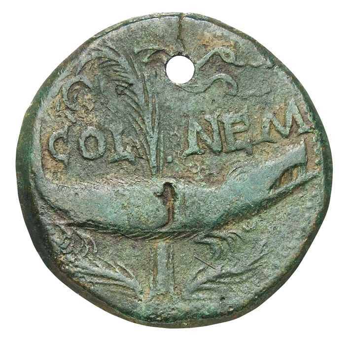 Augustus reverse — Crocodile chained to palm-shoot with short dense fronds and tip left: above on left a wreath with long ties