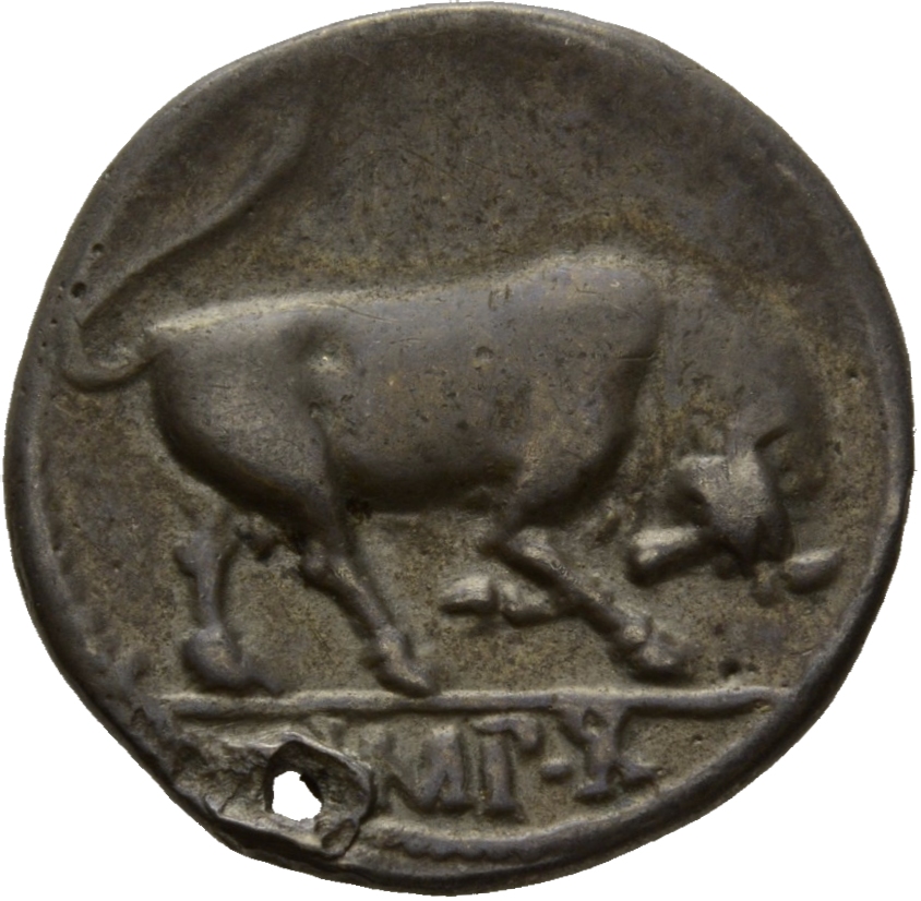 RIC I (second edition) Augustus 167A Augustus reverse, Bull butting right