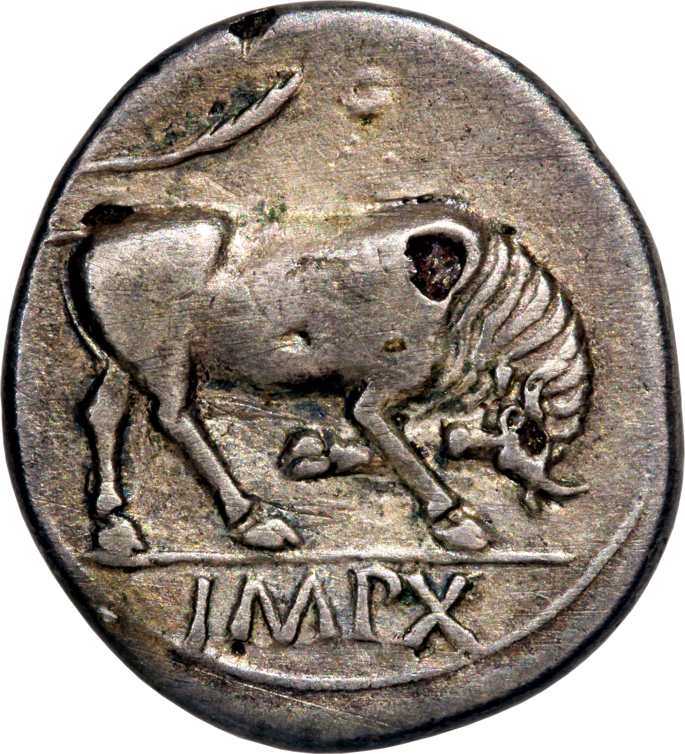 RIC I (second edition) Augustus 167A Augustus reverse — Bull butting right