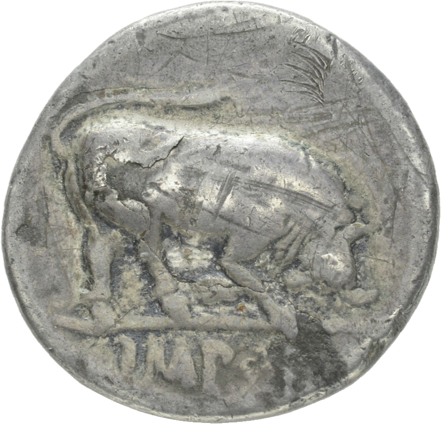 RIC I (second edition) Augustus 167B Augustus reverse, Bull butting right
