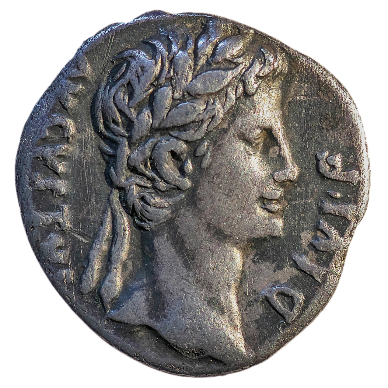 Augustus obverse — Head of Augustus, laureate, right
