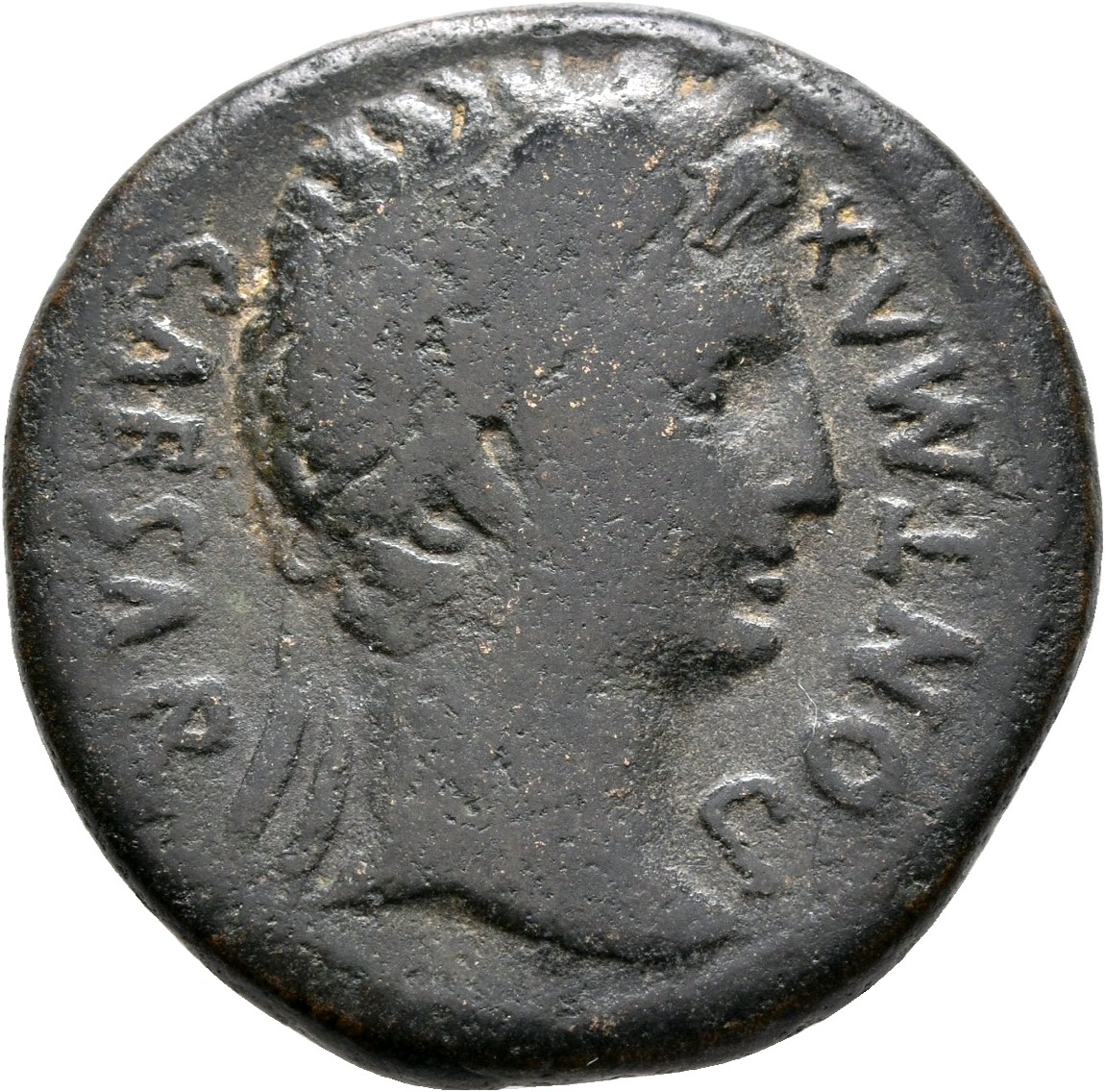 RIC I (second edition) Augustus 229 Augustus obverse — Head of Augustus, laureate, right