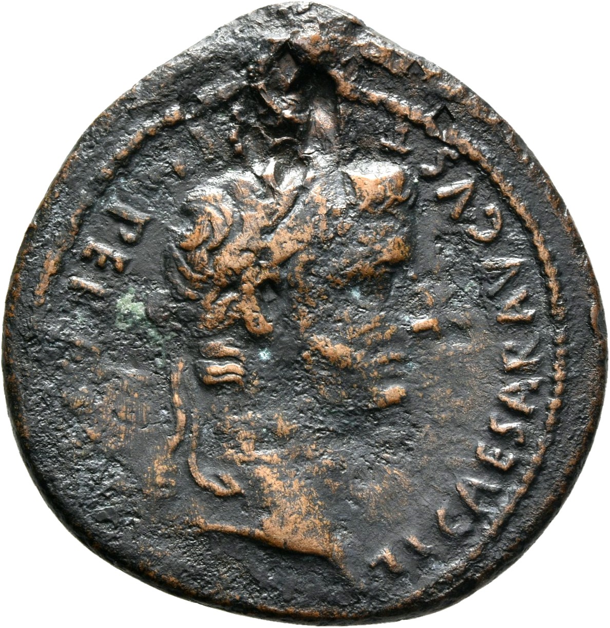 RIC I (second edition) Augustus 238A Augustus obverse — Head of Tiberius, laureate, right