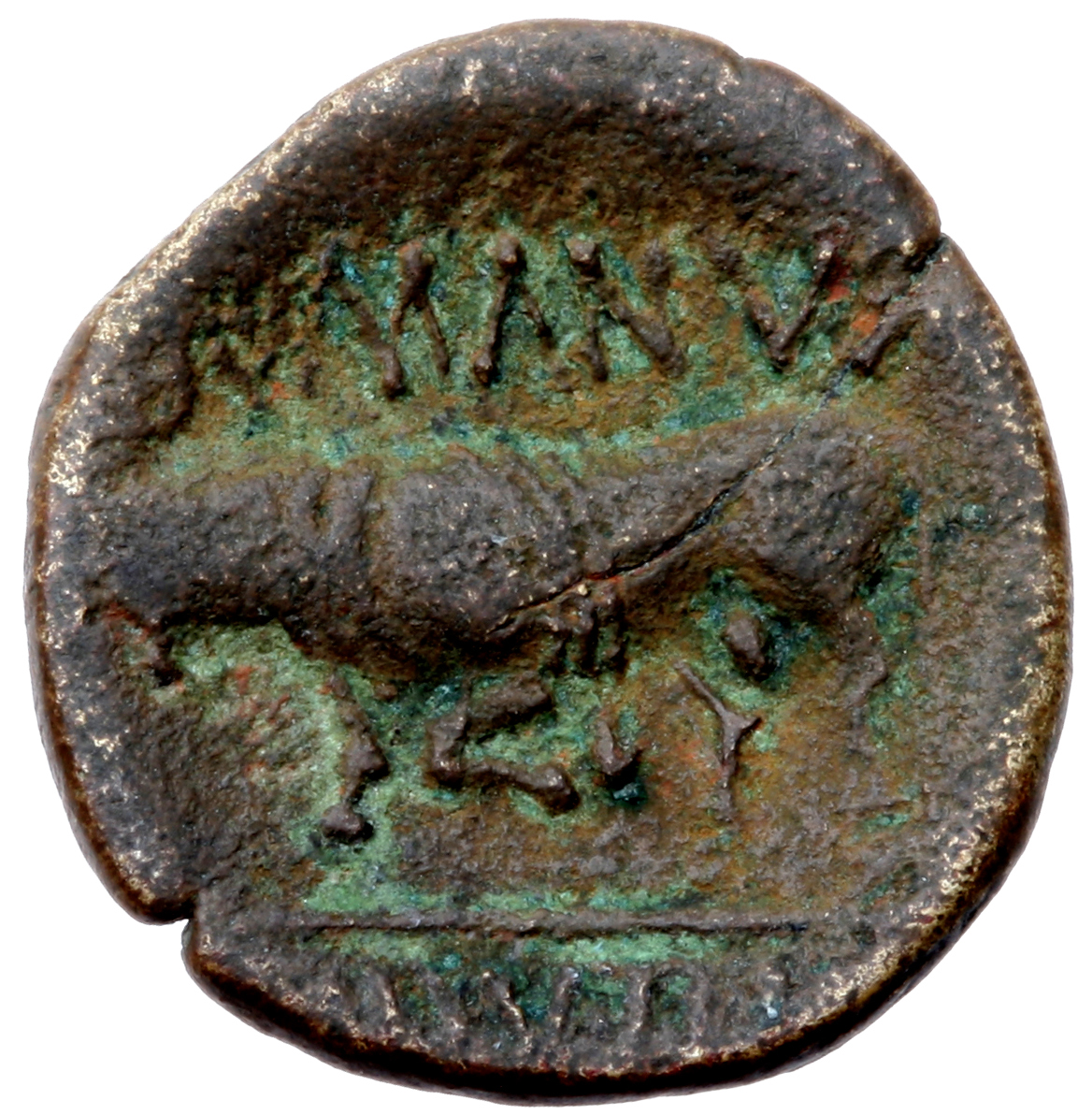 RIC I (second edition) Augustus 249 Augustus reverse, Bull butting left