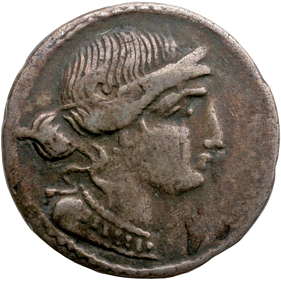 Augustus obverse — Bust of Venus, right, with stephane and necklace