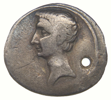Augustus obverse — Head of Octavian, bare, left