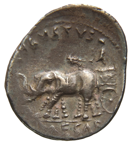 Augustus reverse — Augustus standing in biga of elephants, left, holding laurel branch in right hand and sceptre in left