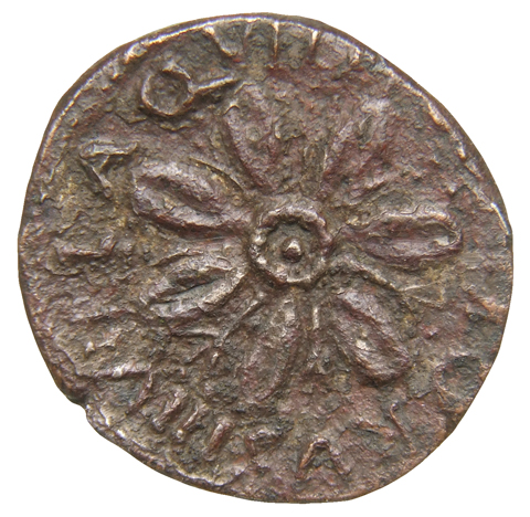 Augustus reverse — Open flower with six petals