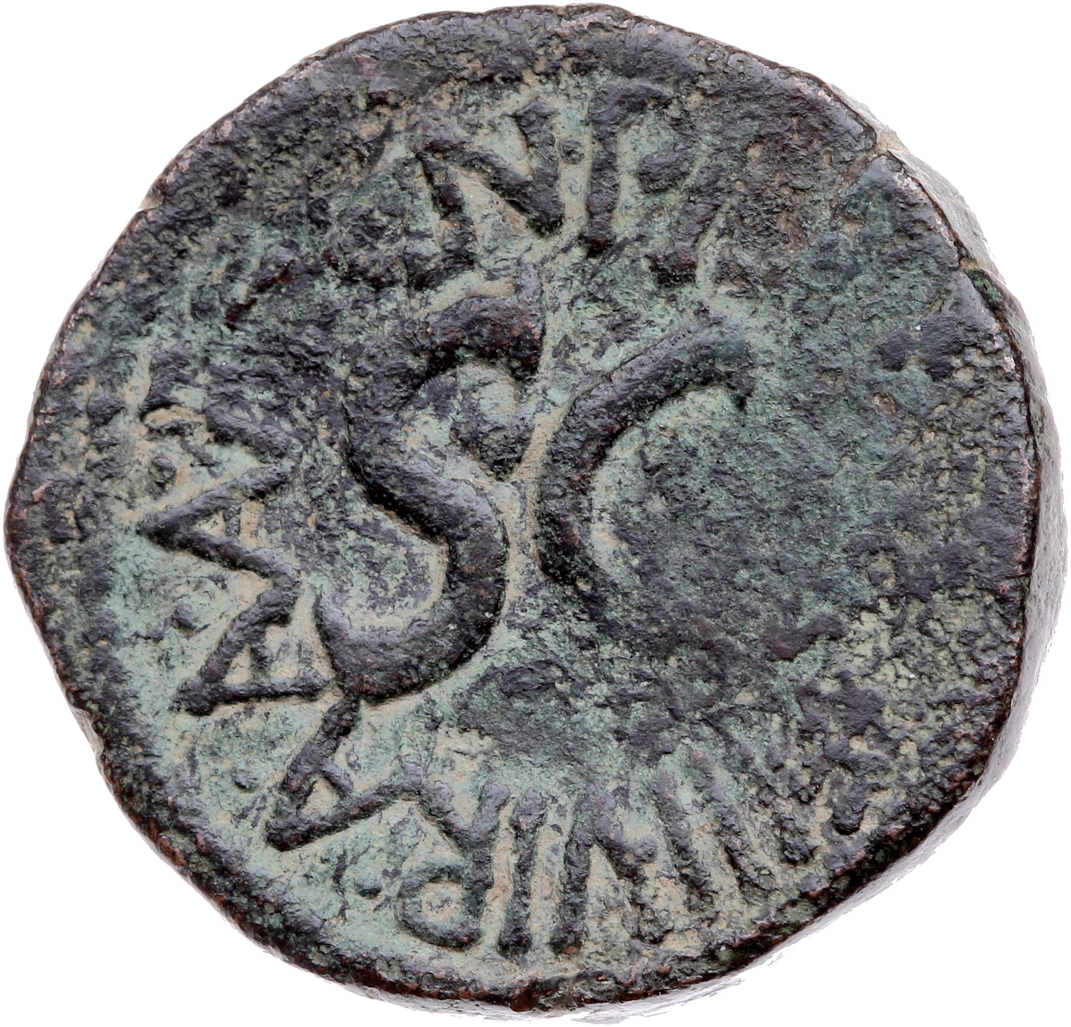 RIC I (second edition) Augustus 382 Augustus reverse — Legend surrounding S C
