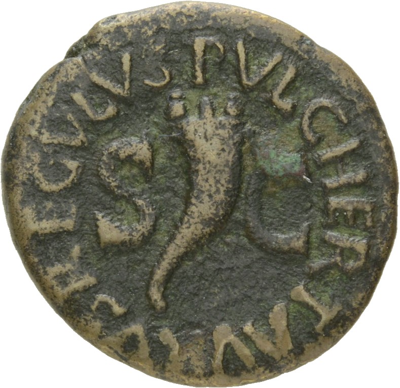 Augustus obverse — Cornucopiae flanked by S C