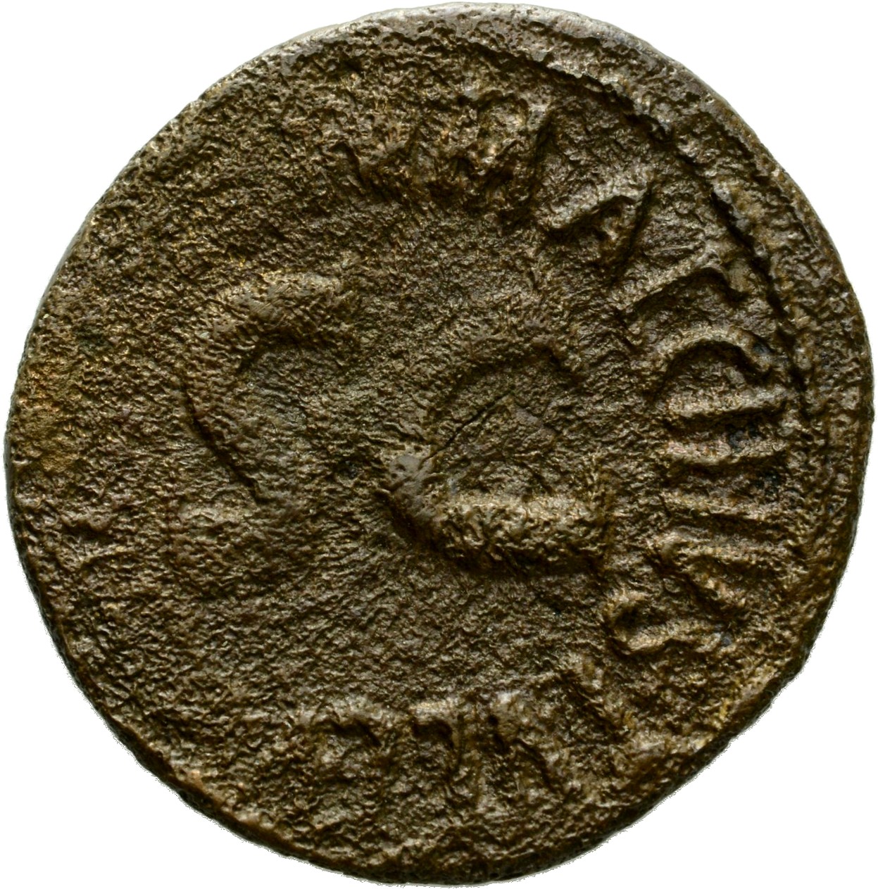 Augustus reverse — Legend surrounding S C