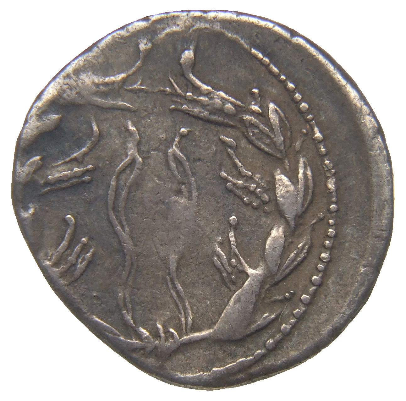 RIC I (second edition) Augustus 473 Augustus reverse, Laurel wreath intertwined with prows (corona rostrata), ties at center