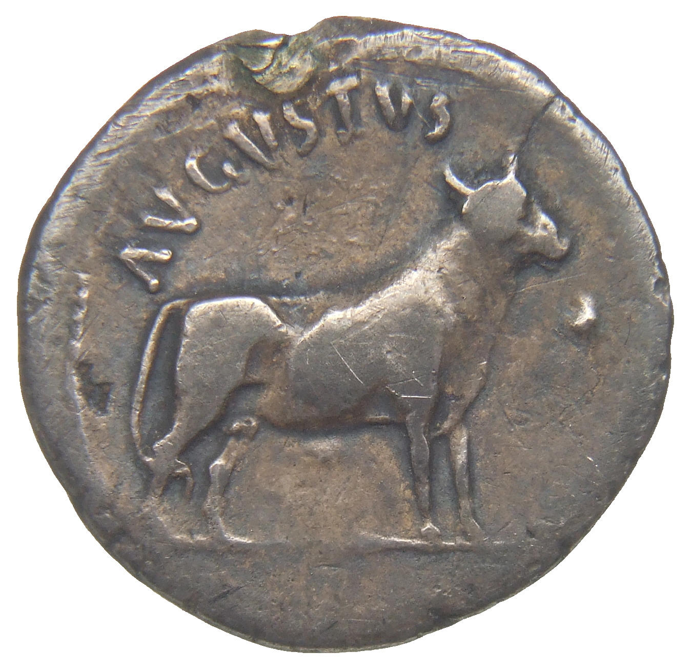 RIC I (second edition) Augustus 475 Augustus reverse, Young bull standing right, head erect