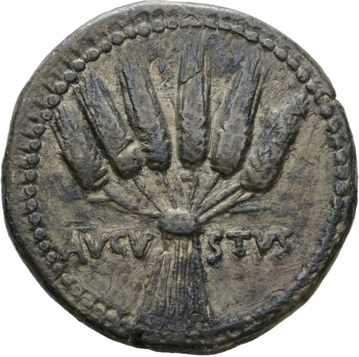RIC I (second edition) Augustus 478 Augustus reverse, Six grain stalks knotted in a bundle
