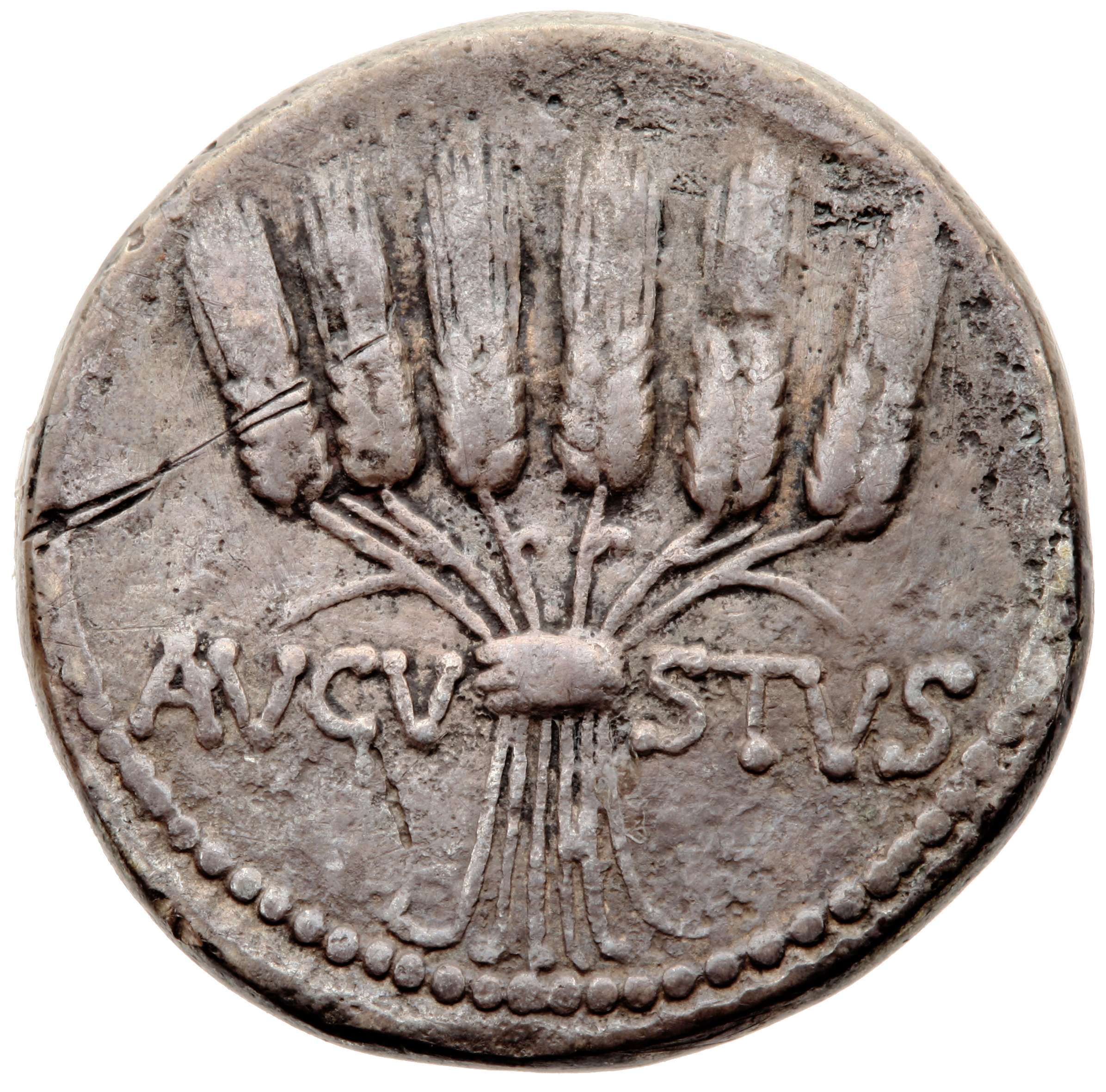 RIC I (second edition) Augustus 490 Augustus reverse, Six grain stalks knotted in a bundle