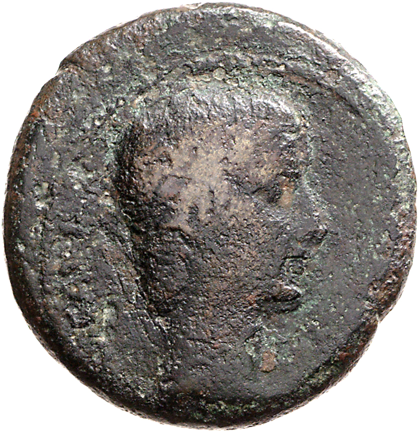 RIC I (second edition) Augustus 497 Augustus obverse, Head of Augustus, bare, right