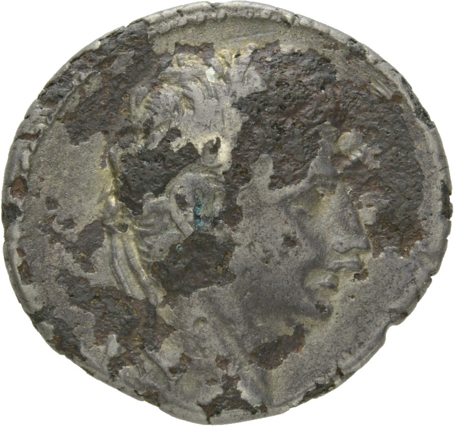Augustus obverse — Head of Augustus, laureate, right