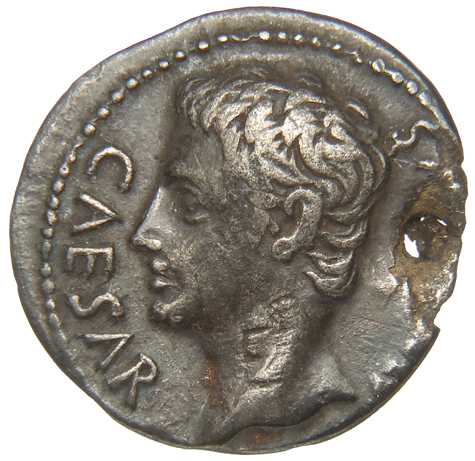 Augustus obverse — Head of Augustus, bare, left