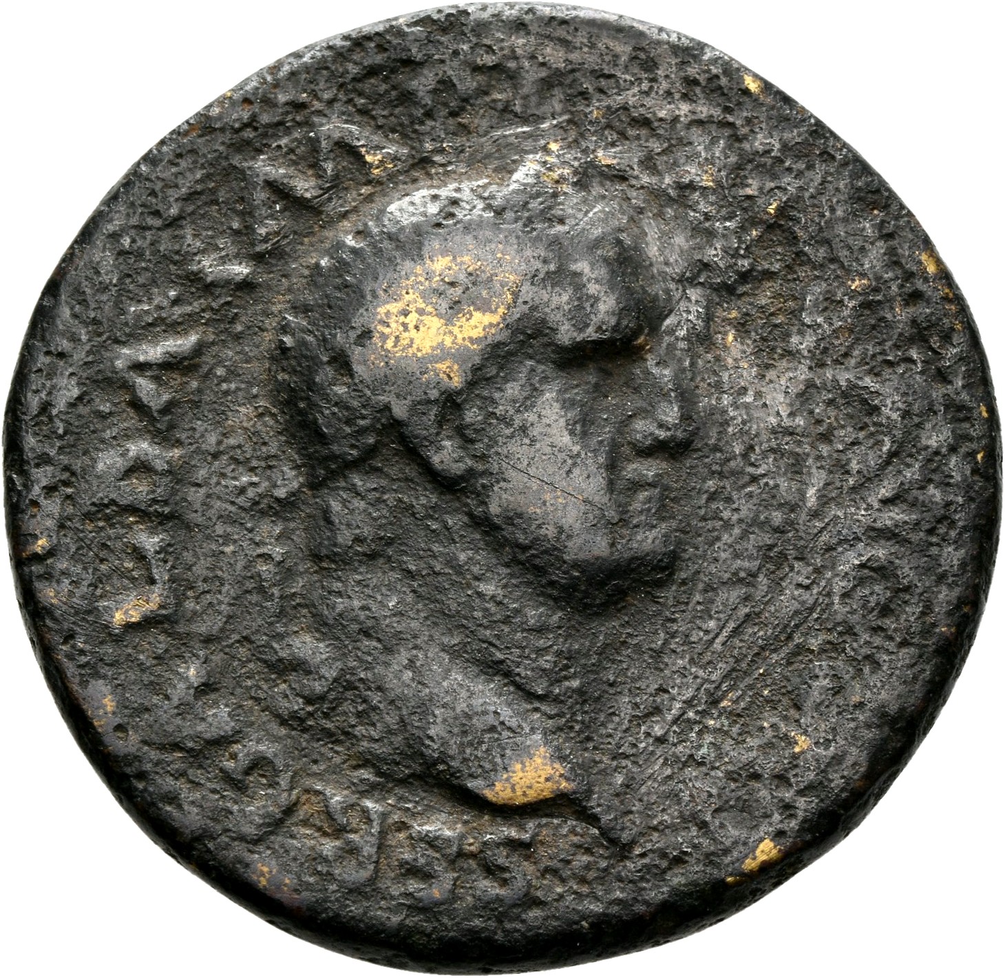 RIC I (second edition) Galba 257 Galba obverse, Bust of Galba, laureate and draped, right