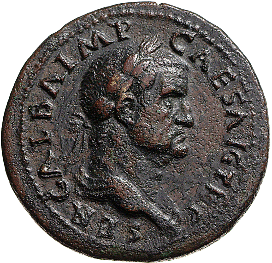 RIC I (second edition) Galba 271 Galba obverse — Bust of Galba, laureate and draped, right