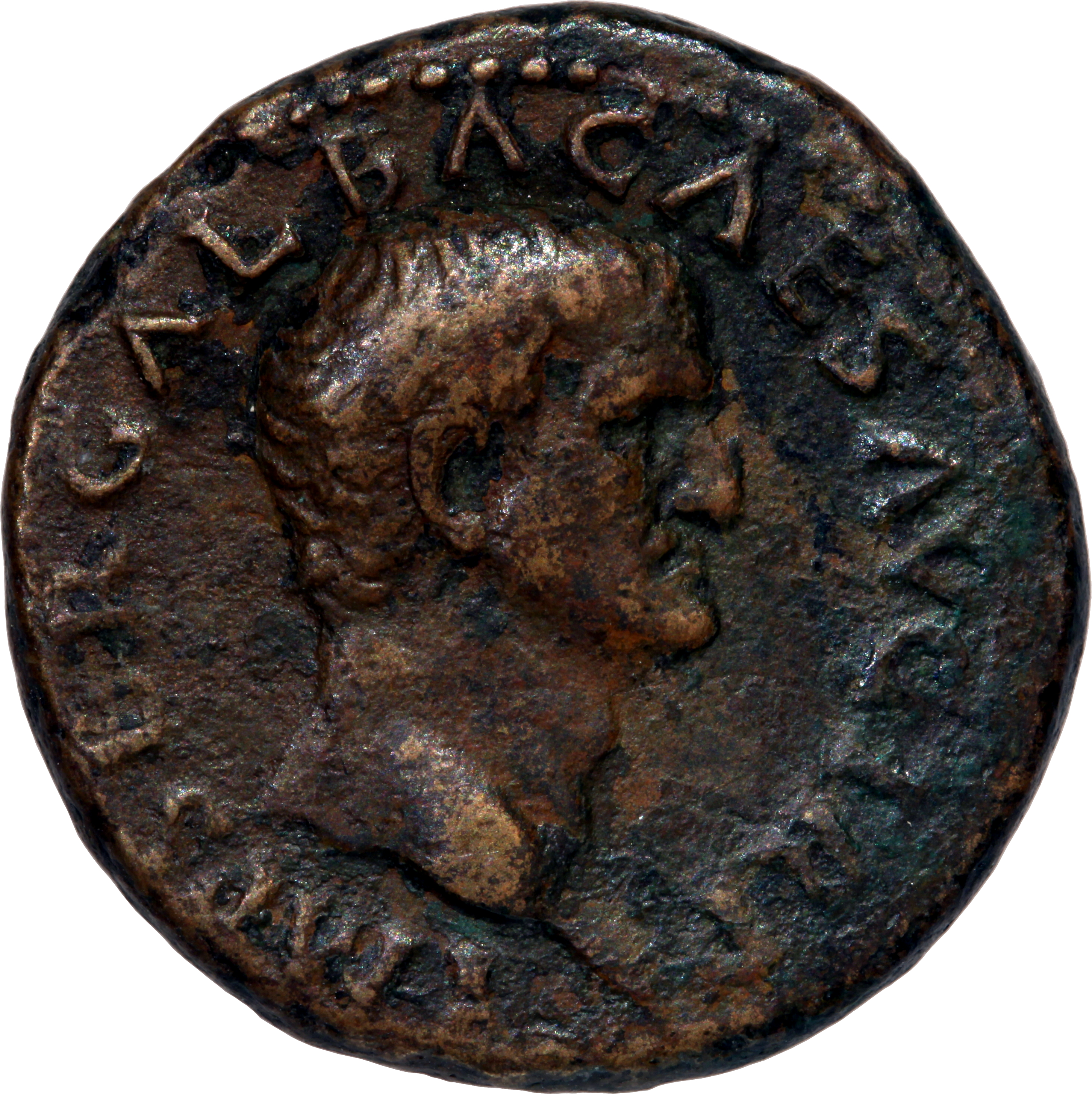 RIC I (second edition) Galba 365 Galba obverse — Head of Galba, bare, right