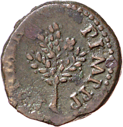 RIC I (second edition) Nero 129 Nero reverse, Olive-branch, upright; sometimes three dots above