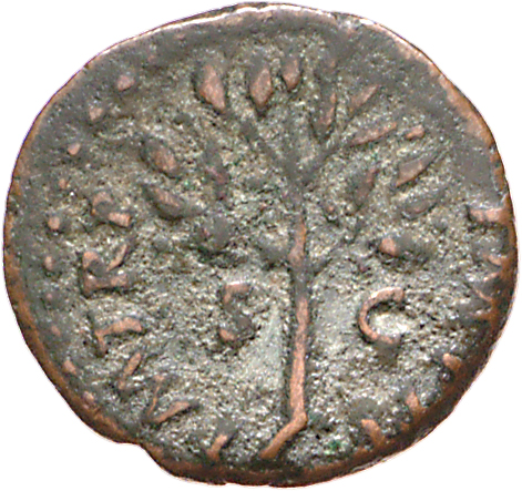 RIC I (second edition) Nero 253 Nero reverse, Olive-branch, upright; sometimes three dots above