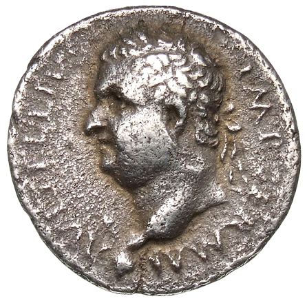 RIC I (second edition) Vitellius 36 Vitellius obverse, Head of Vitellius, laureate, left; globe at point of neck; palm in ...