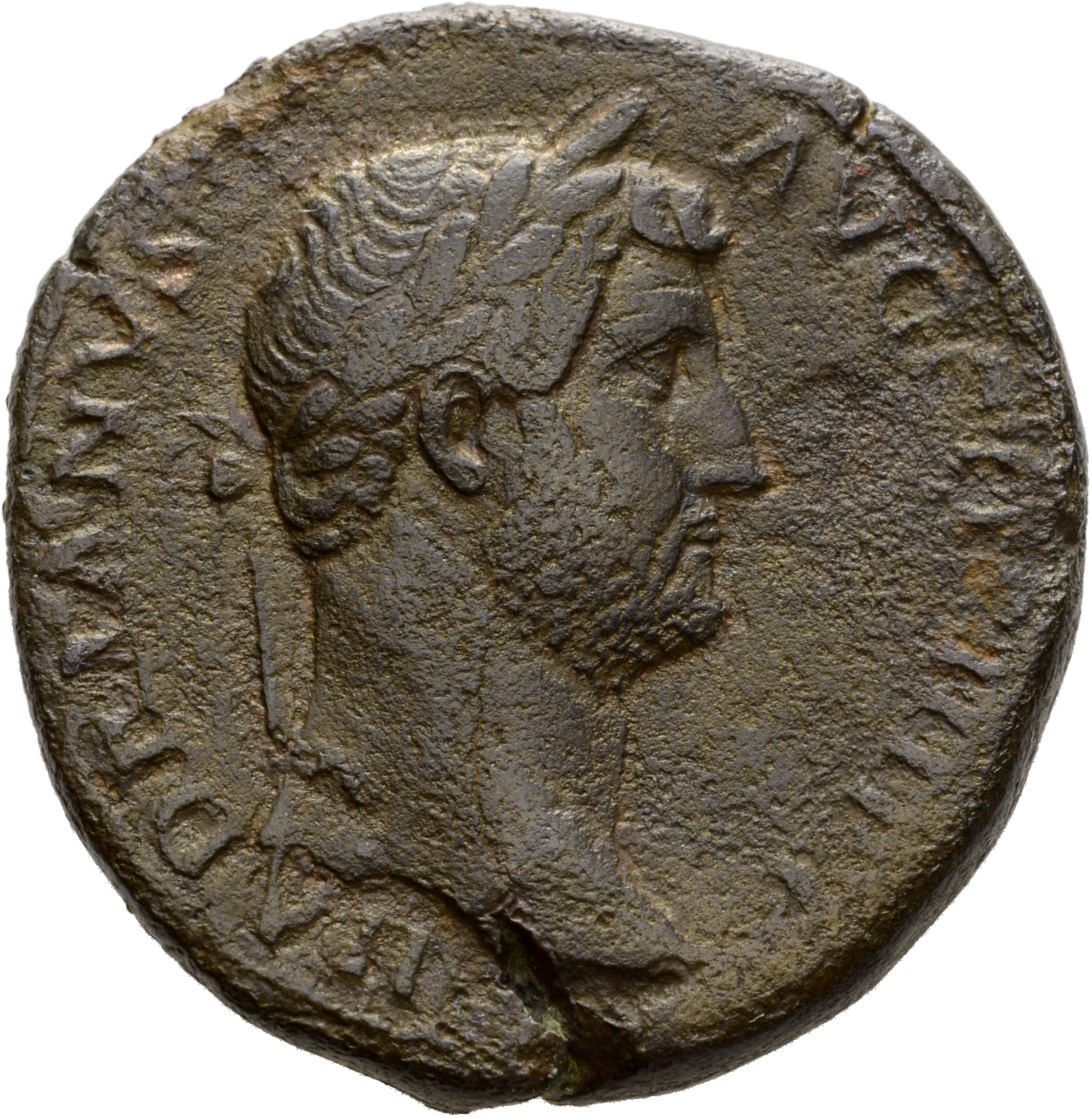 Hadrian obverse — Büste des Hadrianus mit Lorbeerkranz in der Rückenansicht nach r.