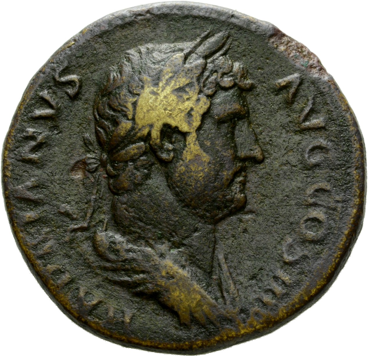 RIC II Hadrian 850f (as) Hadrian obverse, Drapierte Büste des Hadrianus mit Lorbeerkranz in der Rückenansicht nach r.