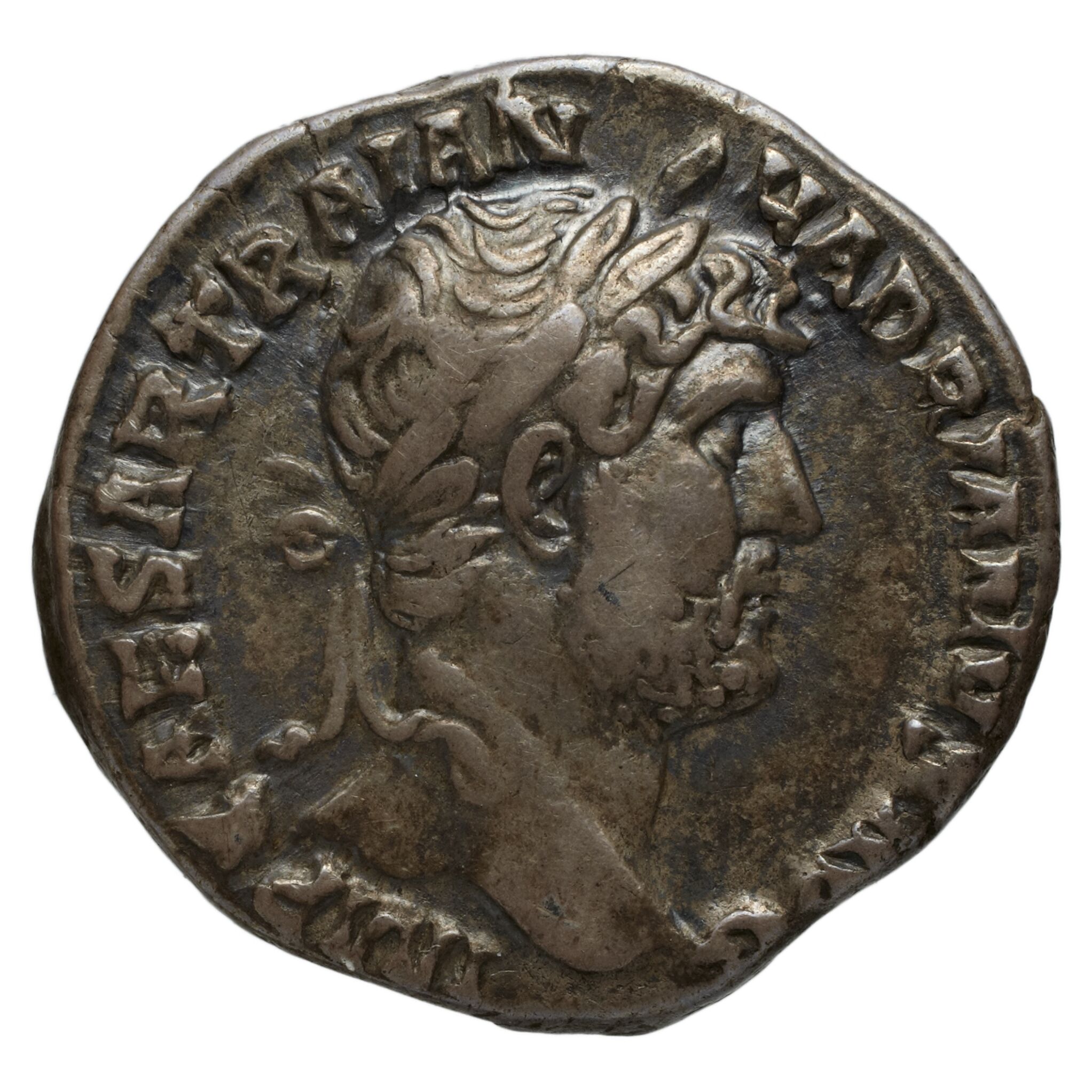 RIC II Nerva 128 Nerva obverse — Head of Divus Augustus, bare, right
