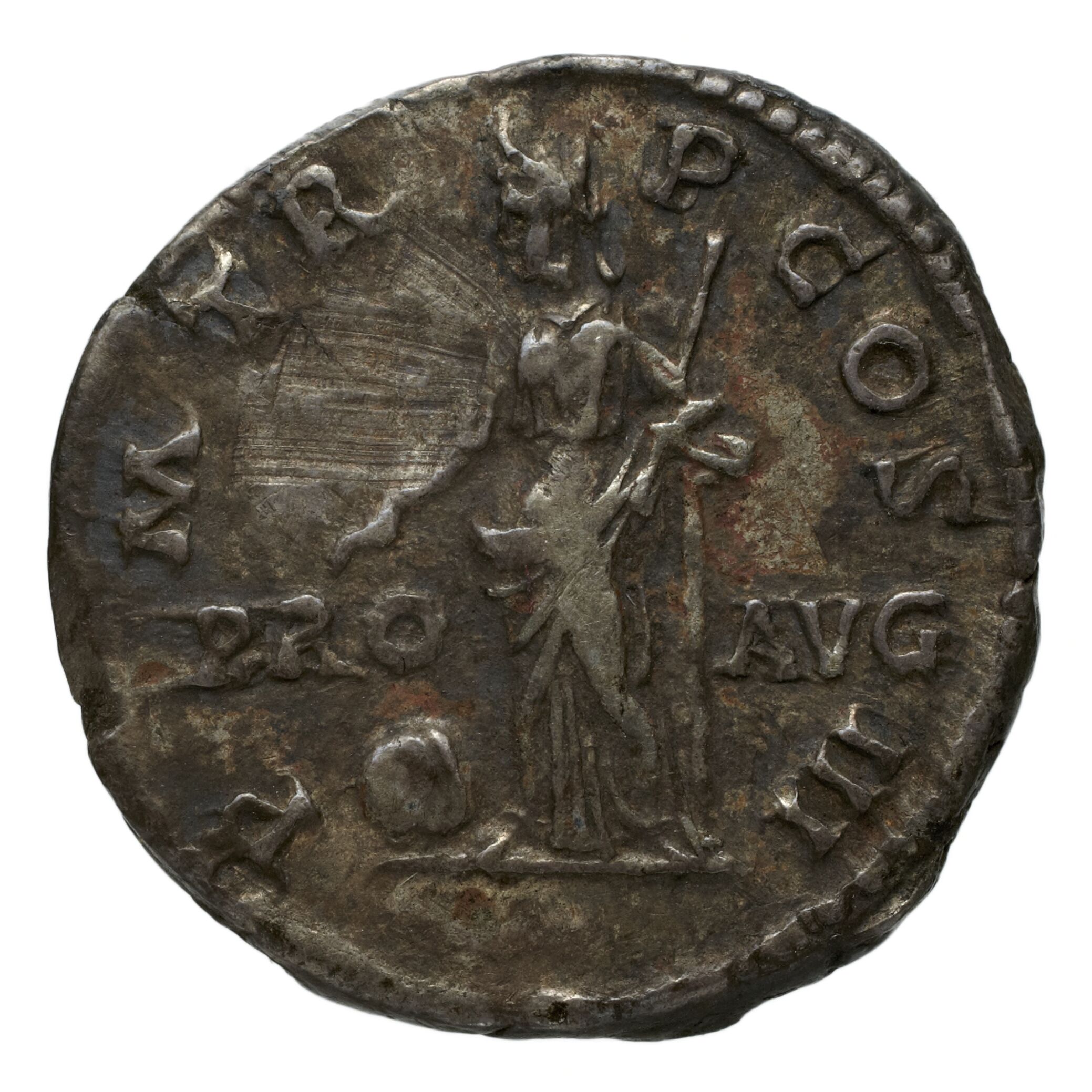RIC II Nerva 134 Nerva obverse — Head of Divus Augustus, bare, right