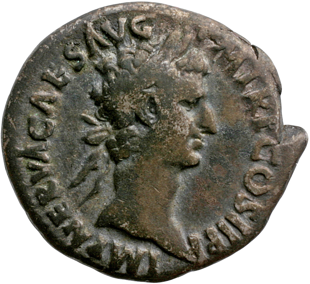 RIC II Nerva 1 (denarius) Nerva obverse, Head of Nerva, laureate, right