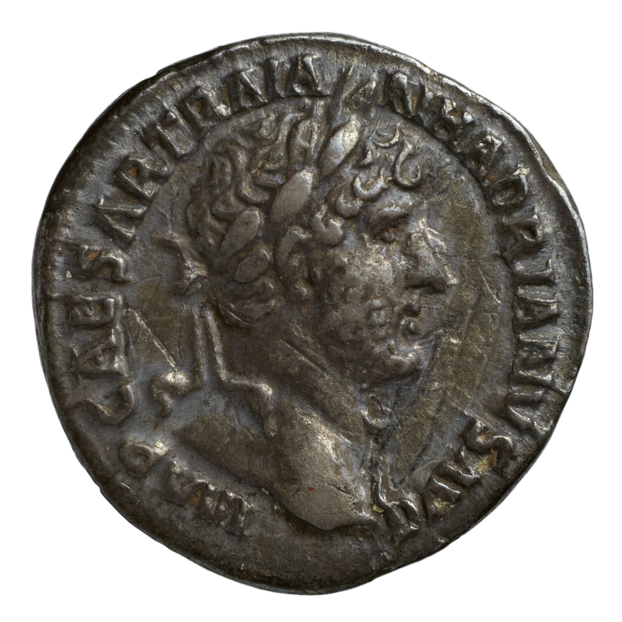 RIC II Trajan 101 Trajan obverse — Bust of Trajan, laureate, draped on left shoulder, right