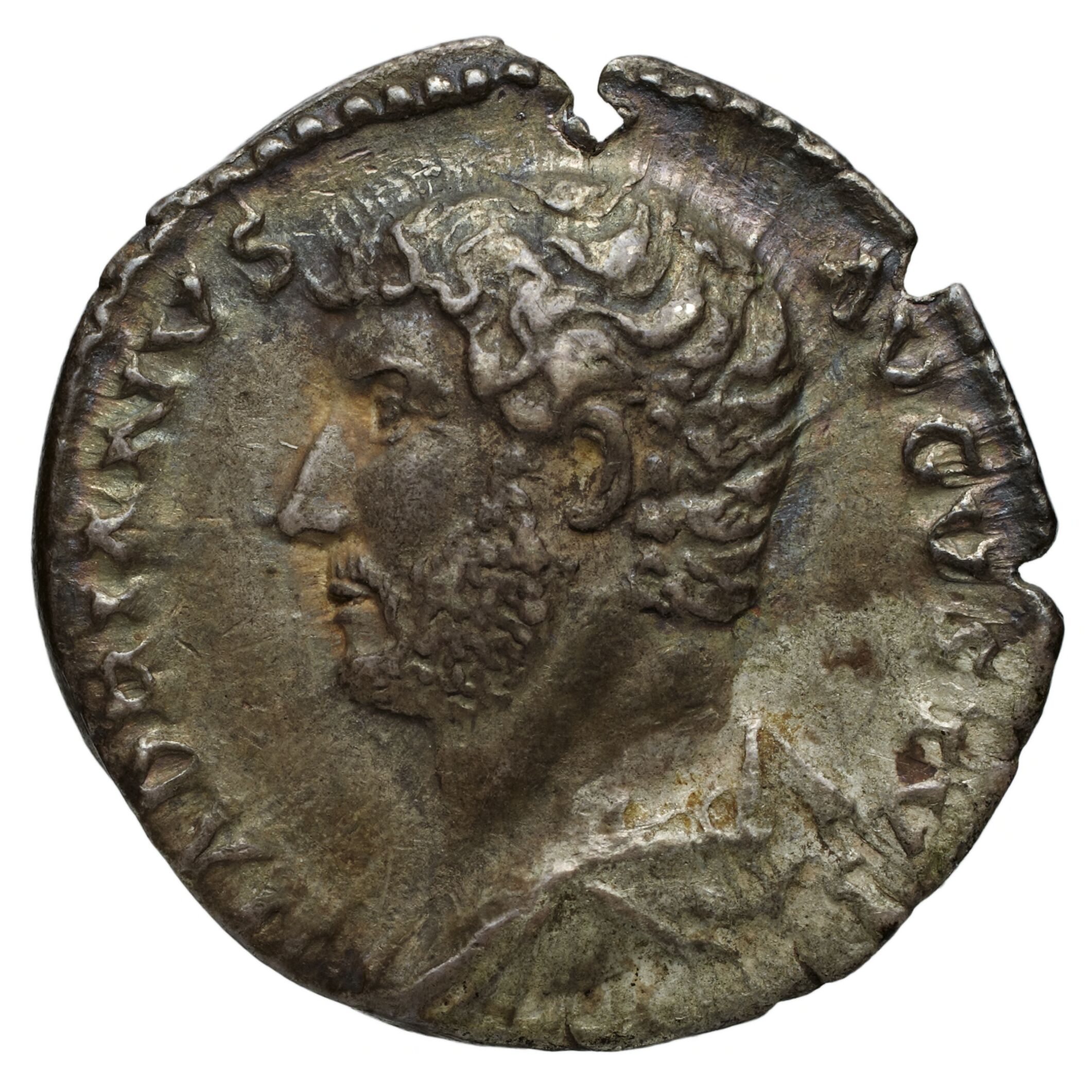 RIC II Trajan 219 Trajan obverse — Bust of Trajan, laureate, right