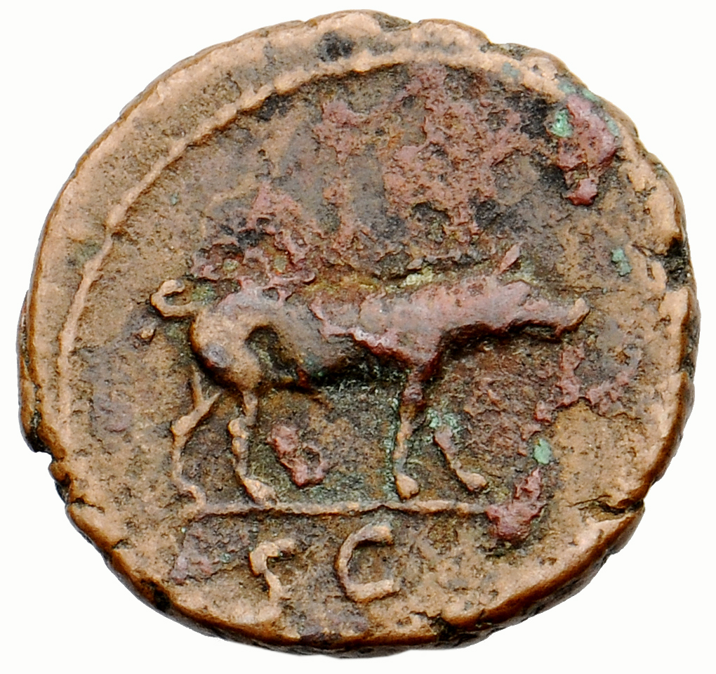 Trajan reverse — Boar right with head down