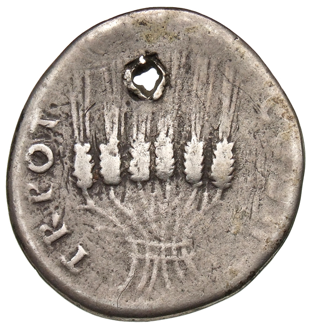 Trajan reverse — Bundle of corn-ears tied together