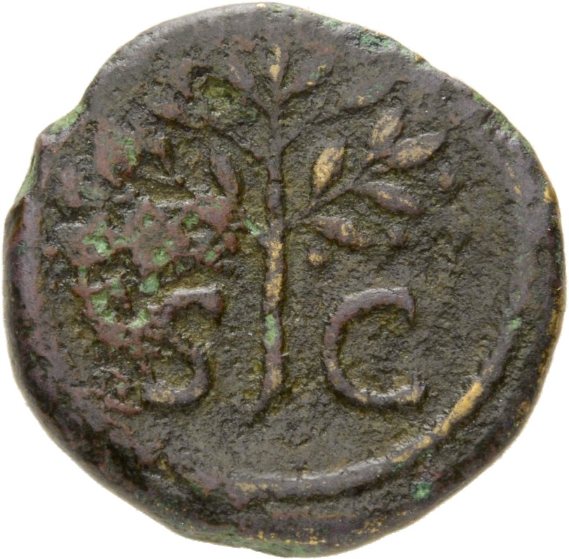 RIC II, Part 1 (second edition) Domitian 240 Domitian reverse, Olive branch upright