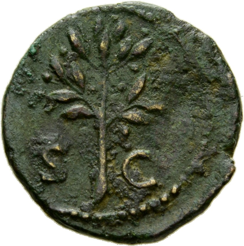 RIC II, Part 1 (second edition) Domitian 247 Domitian reverse, Olive branch upright
