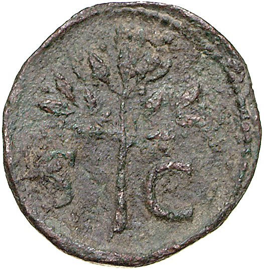 RIC II, Part 1 (second edition) Domitian 247 Domitian reverse, Olive branch upright